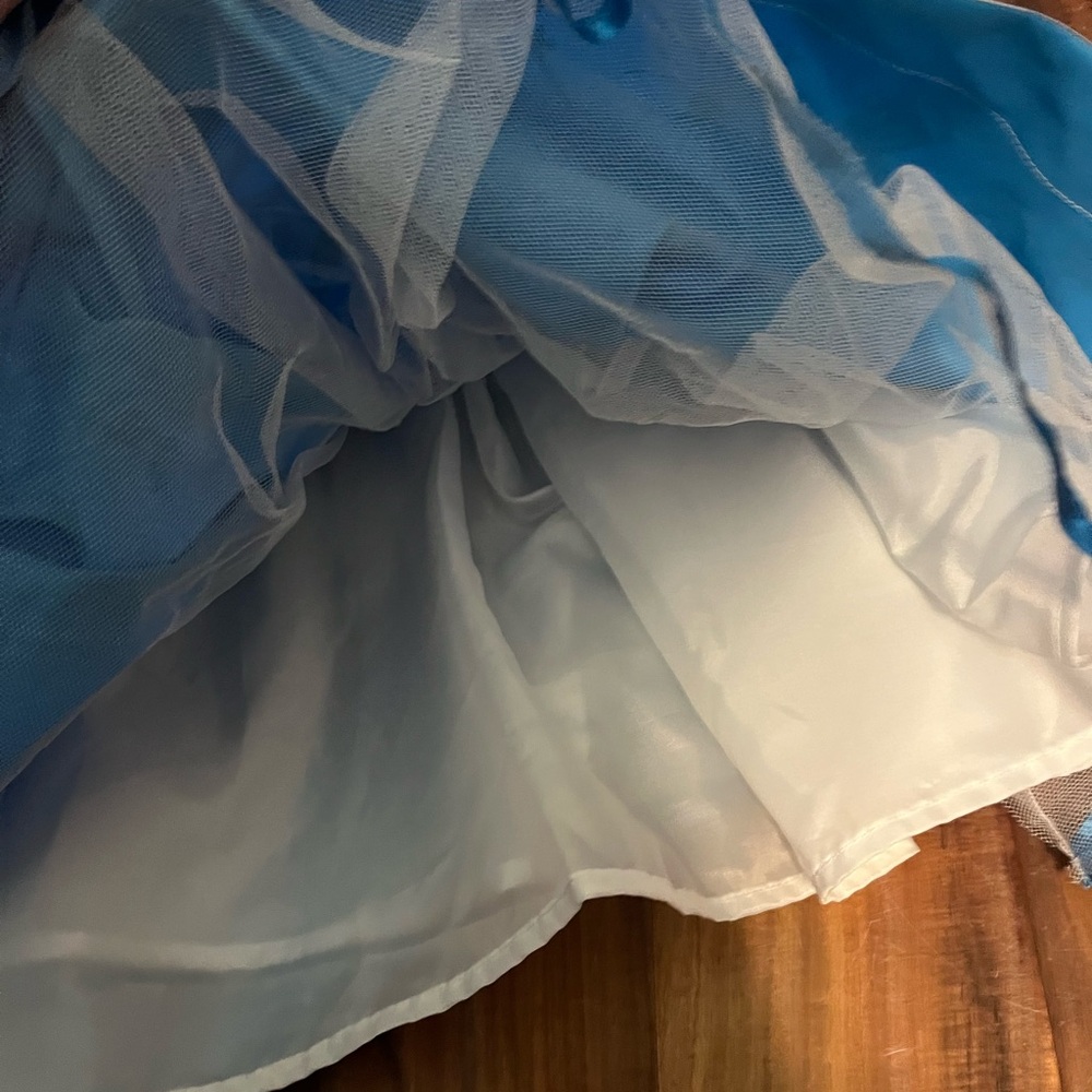 Disney Blue and White Kids Costume - Picture 4 of 5